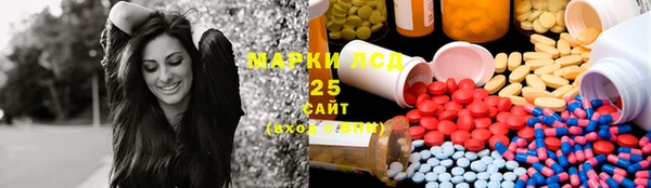 мдпв Новозыбков