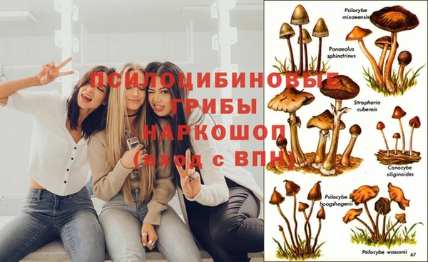 марки lsd Пестово